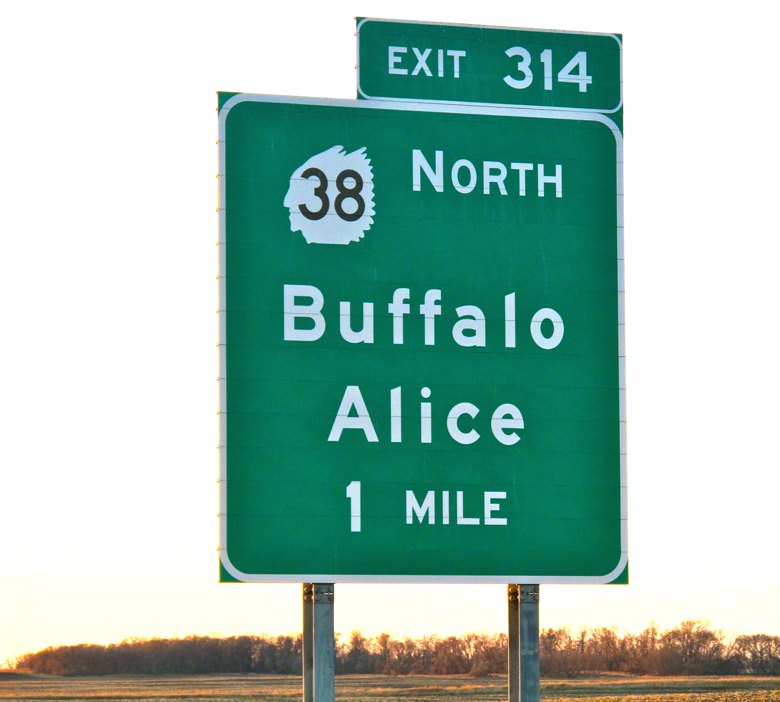 Buffalo Alice and The Enchanted Highway