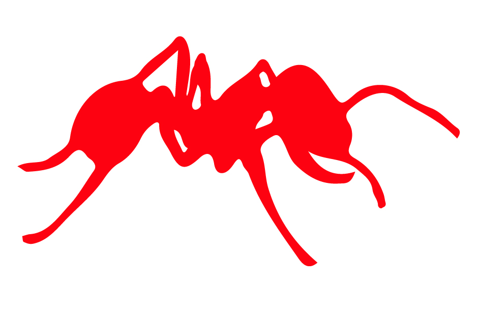 A Giant Red Ant